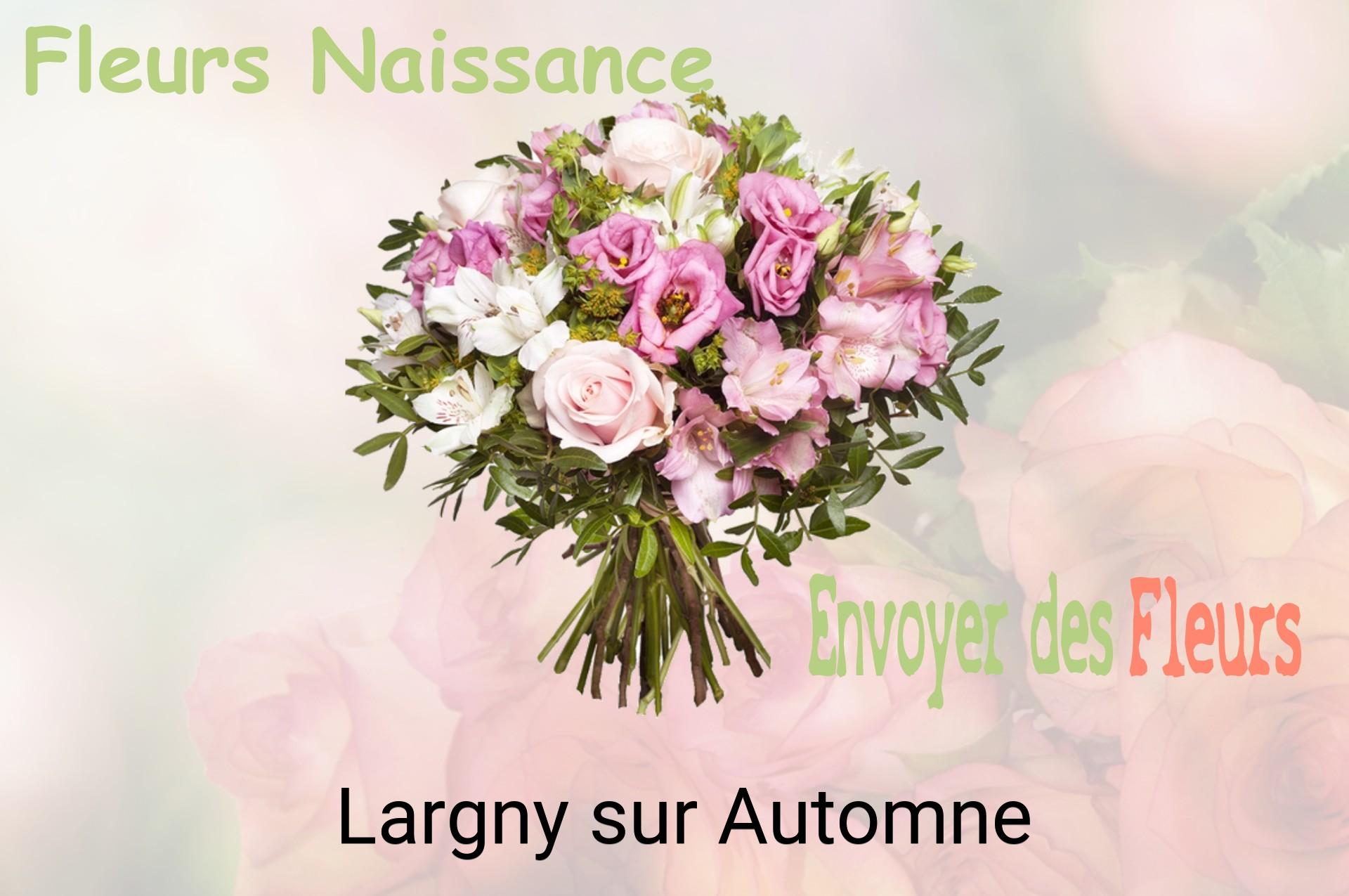 Bouquet de fleurs de naissance livré à Largny-sur-Automne
